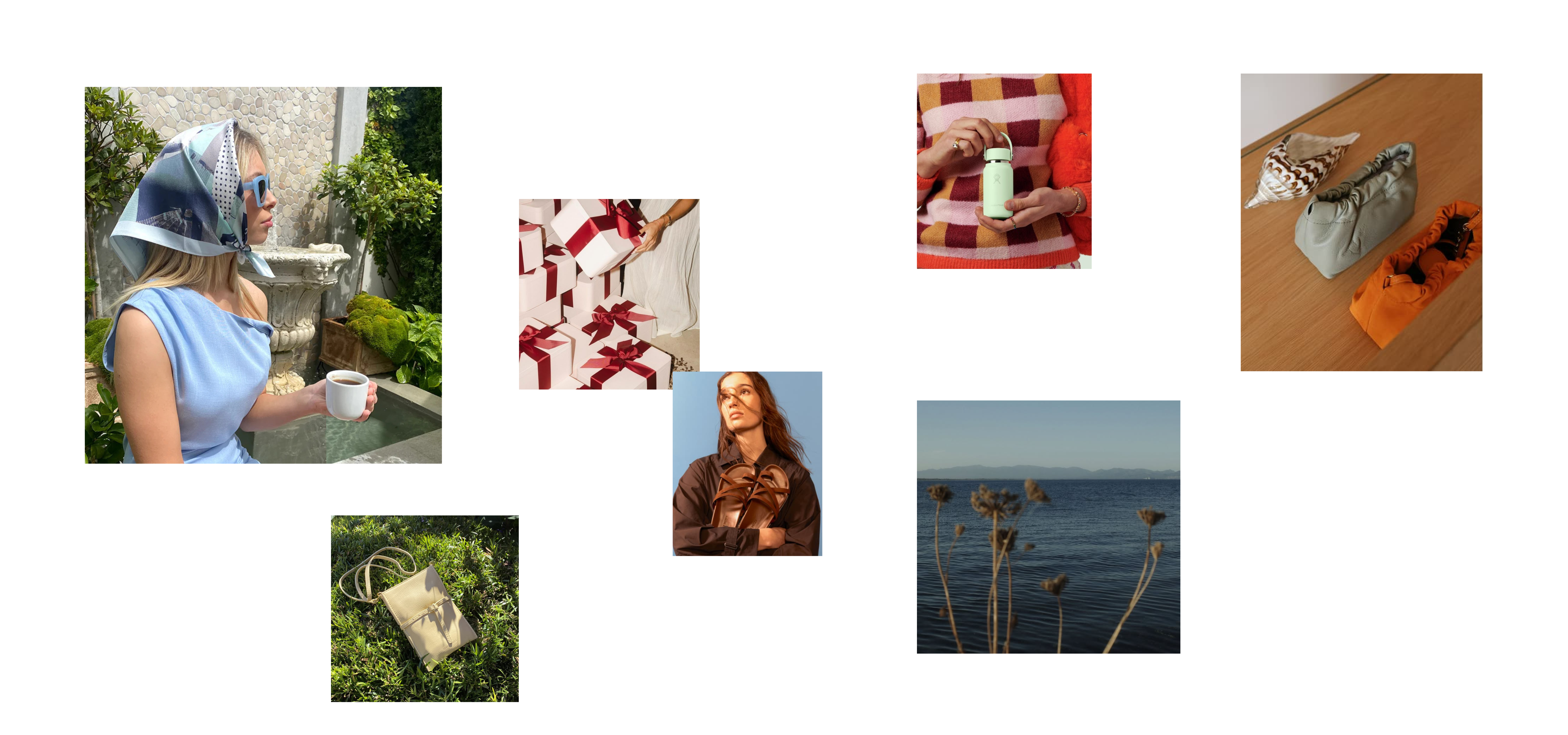 deadly ponies new zealand