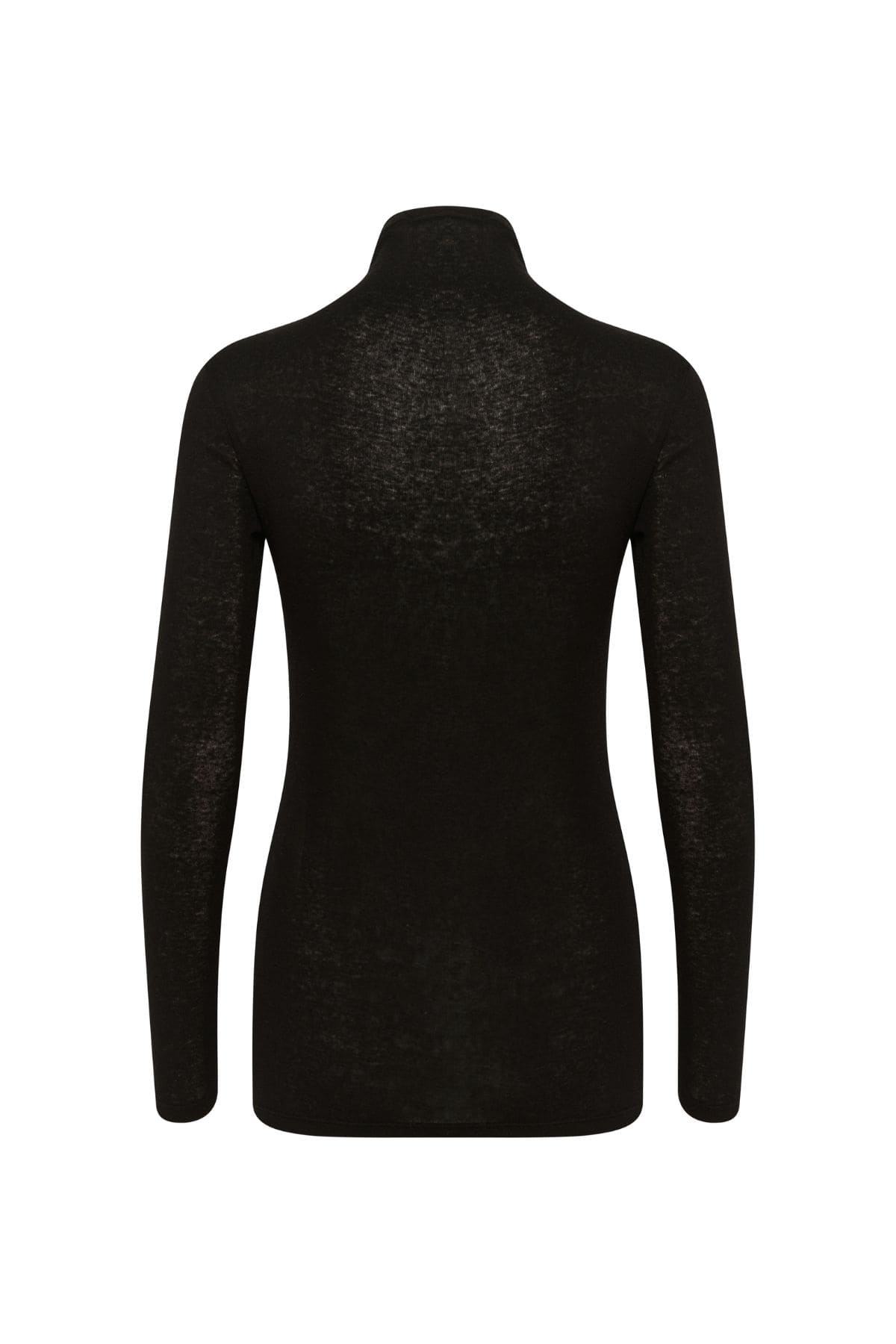 DOLLY TURTLENECK METEORITE