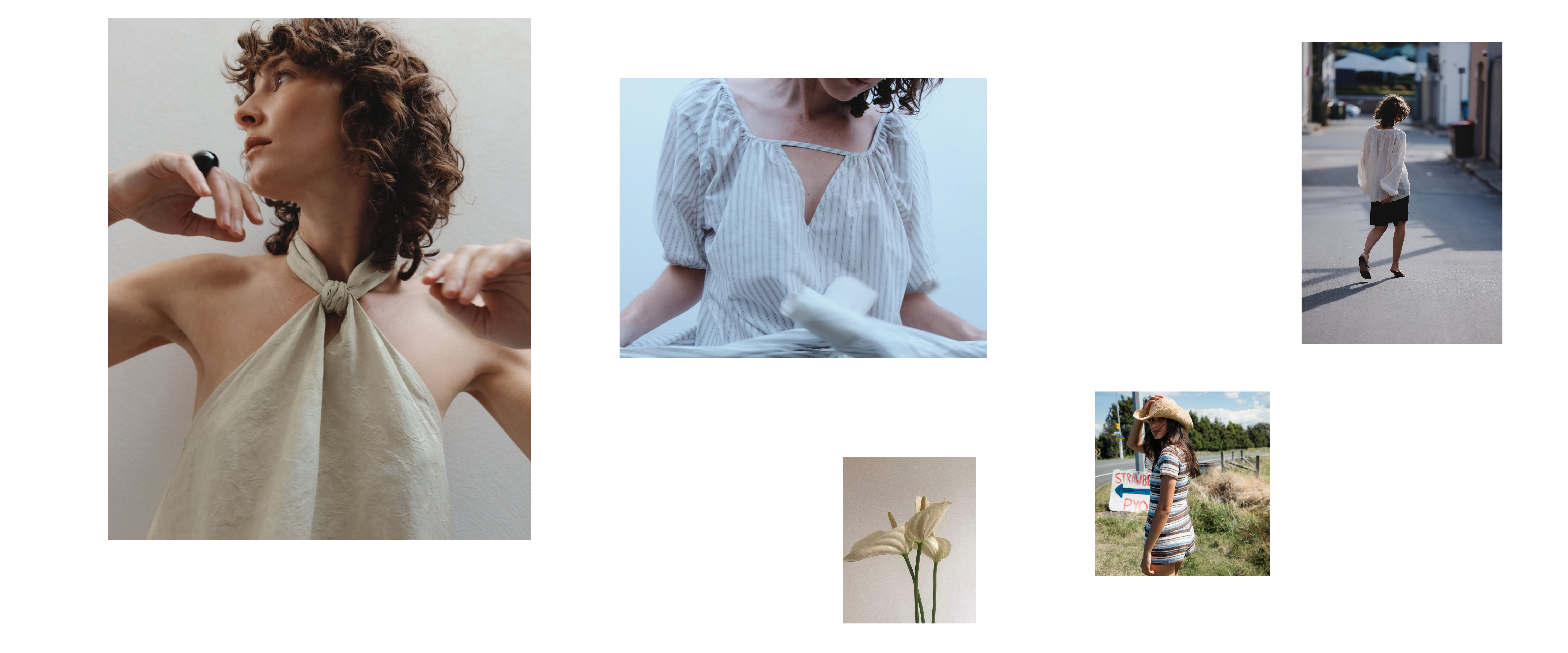 deadly ponies new zealand