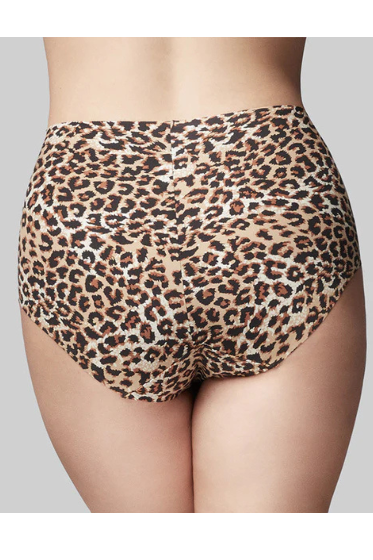 PRECISION FULL BRIEF ANIMAL