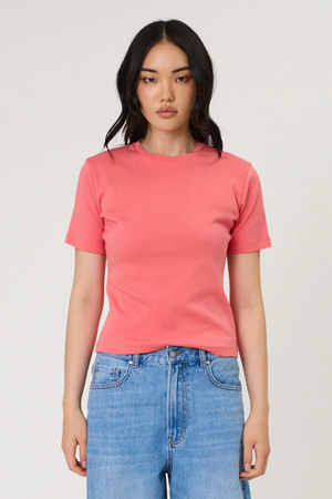 ARDEN TEE WATERMELON