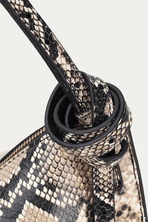MR CHOPALOPAGUS BIRCH PYTHON