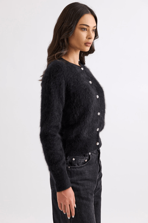 SIERRA CARDI JET