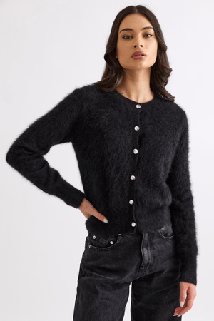 SIERRA CARDI JET