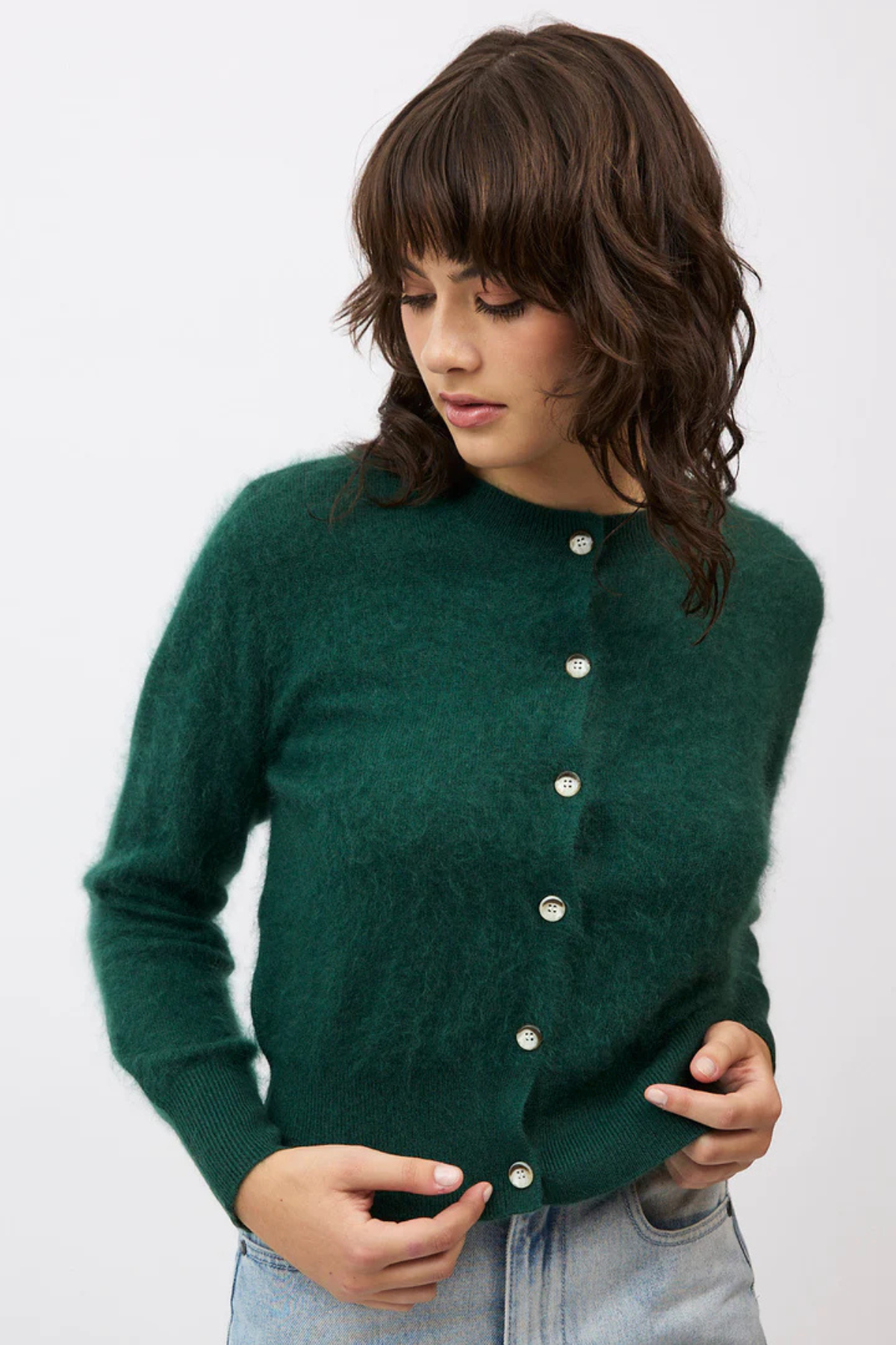 SIERRA CARDI FOREST