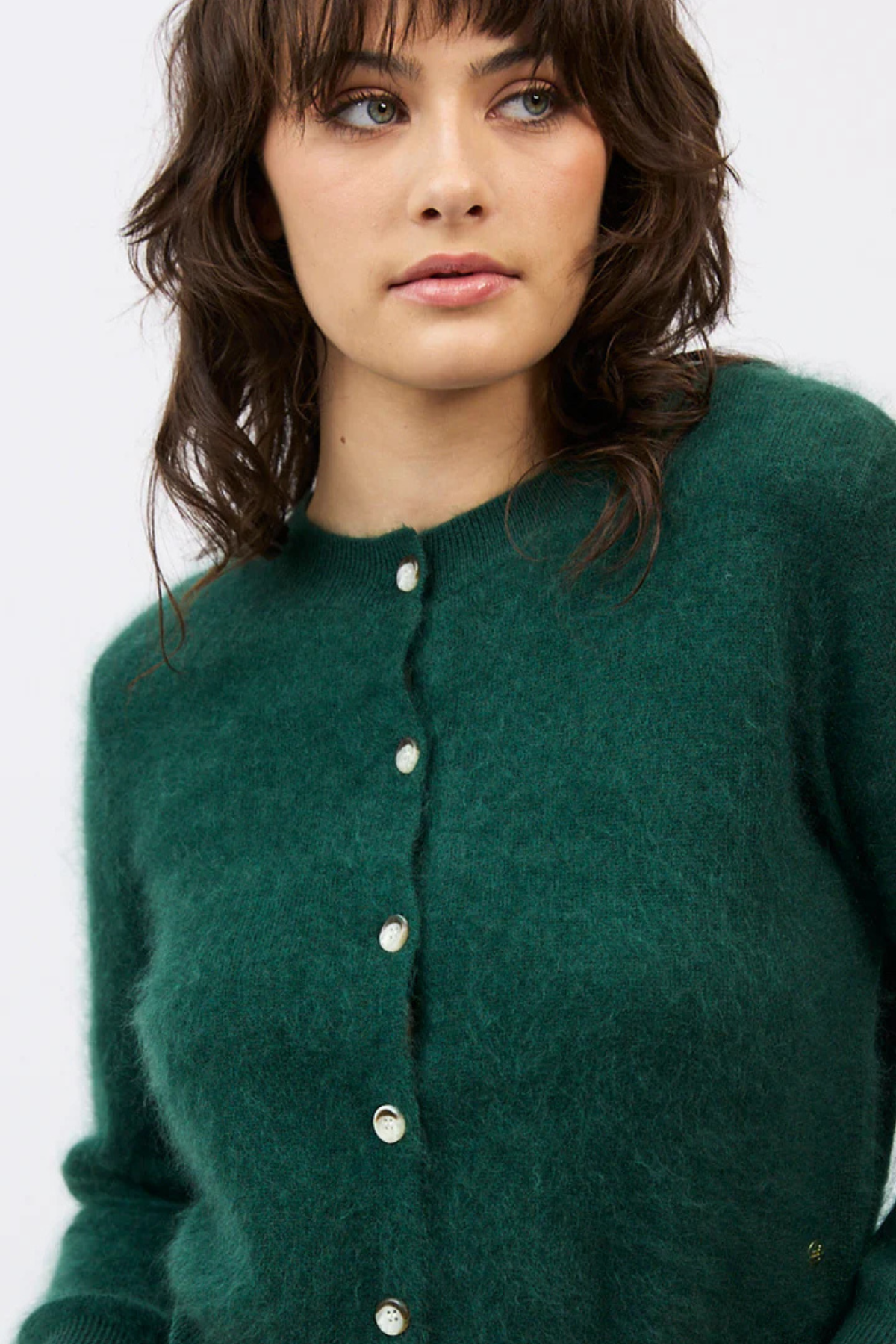 SIERRA CARDI FOREST