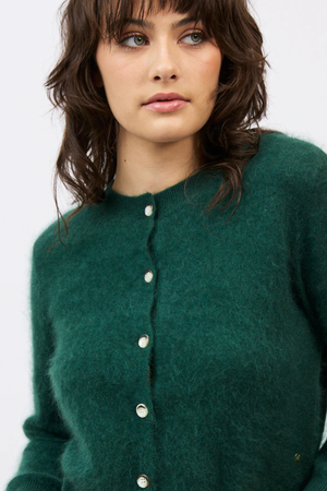 SIERRA CARDI FOREST