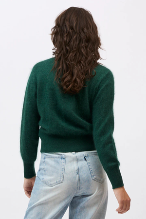 SIERRA CARDI FOREST