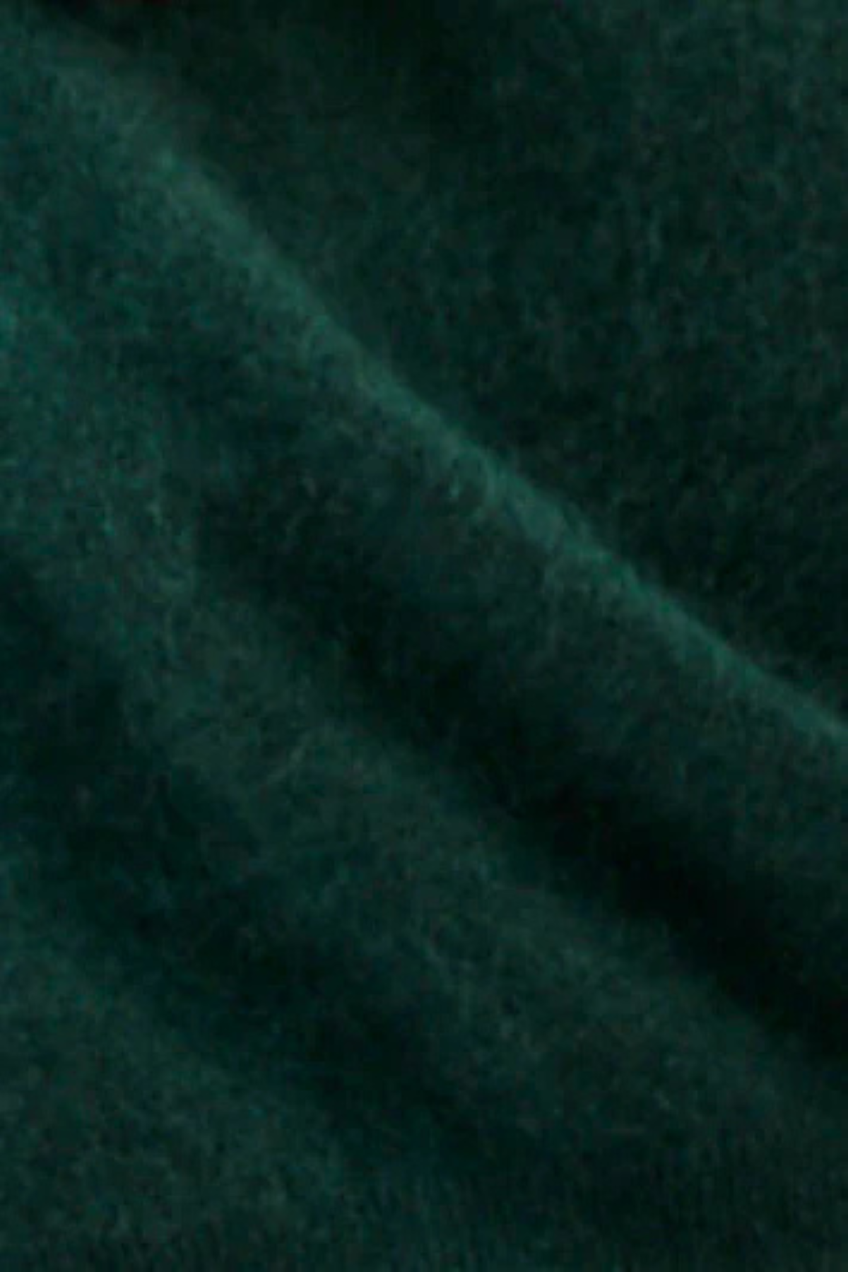 SIERRA CARDI FOREST