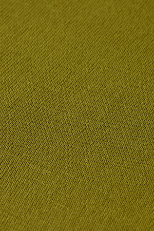 STRIPE TRIM SHORT SLEEVE PULLOVER GREEN MOSS